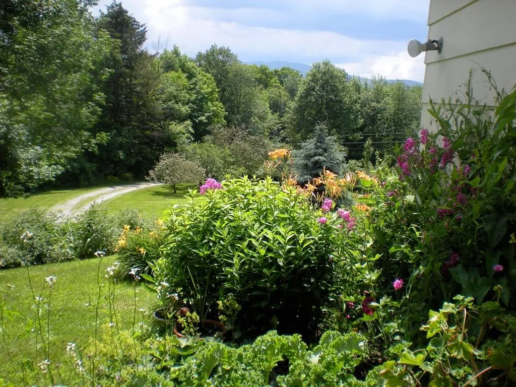 804 Codding Hollow Road Johnson VT 05656