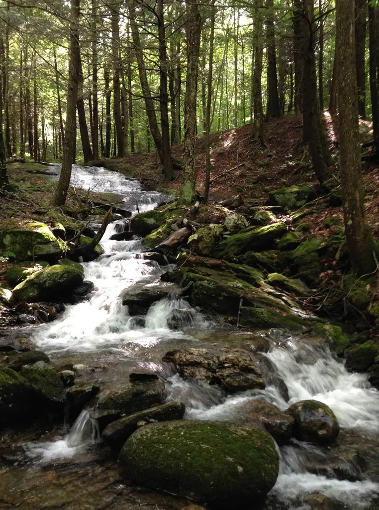 804 Codding Hollow Road Johnson VT 05656
