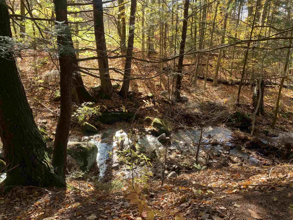 804 Codding Hollow Road Johnson VT 05656
