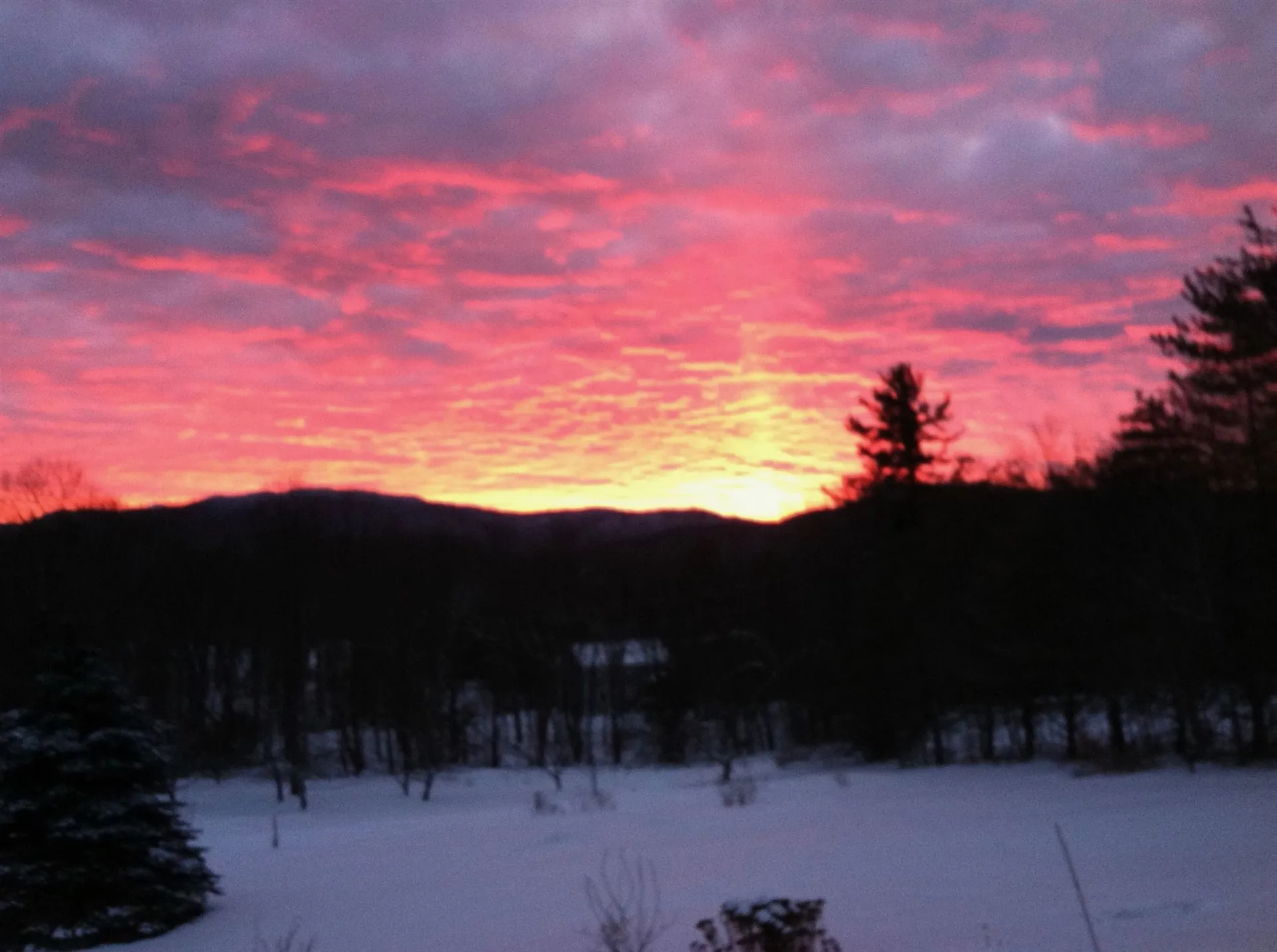 804 Codding Hollow Road Johnson VT 05656