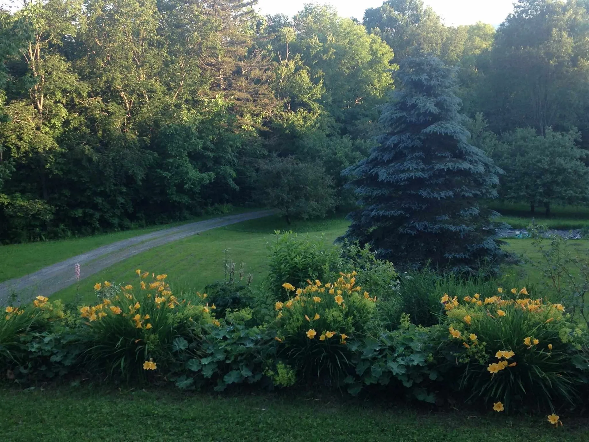 804 Codding Hollow Road Johnson VT 05656