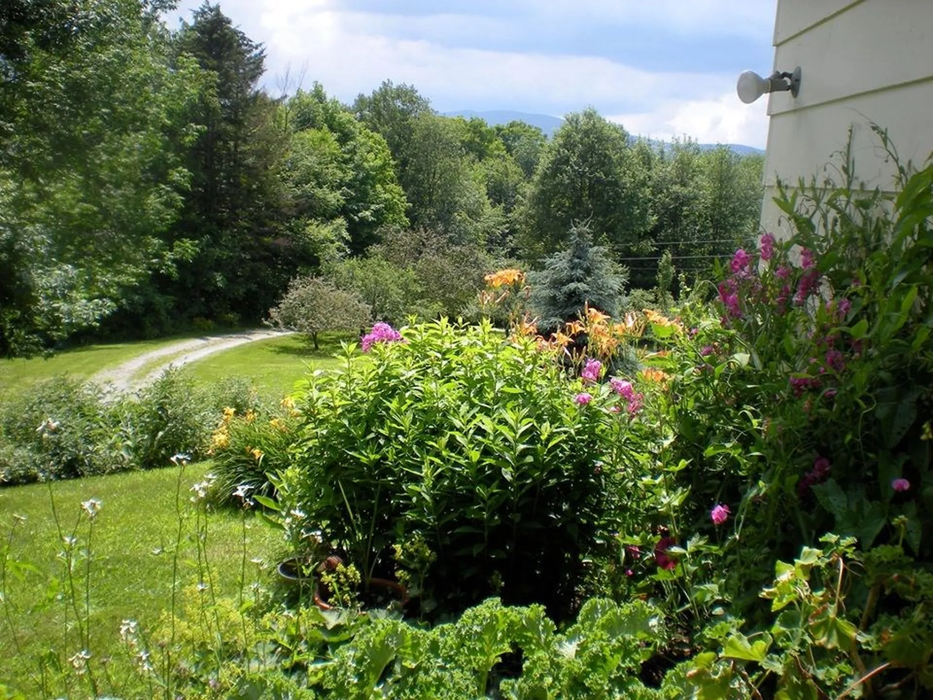 804 Codding Hollow Road Johnson VT 05656