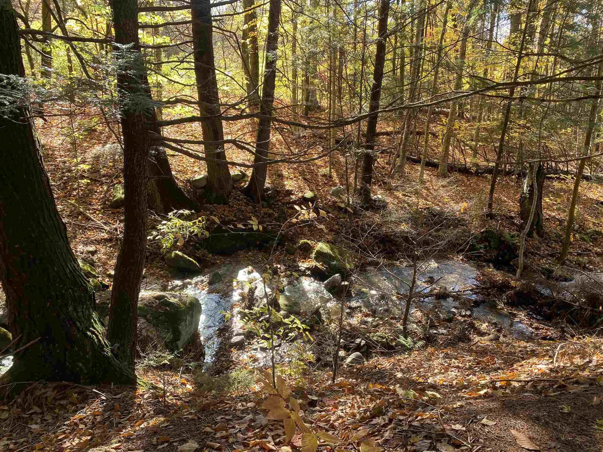 804 Codding Hollow Road Johnson VT 05656