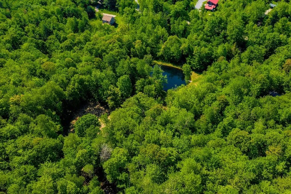 1771 Texas Hill Road Hinesburg VT 05461