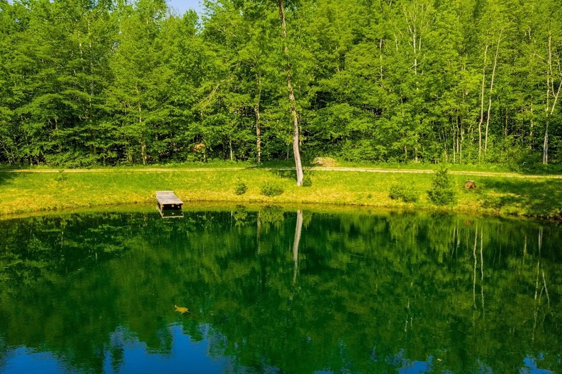 1771 Texas Hill Road Hinesburg VT 05461