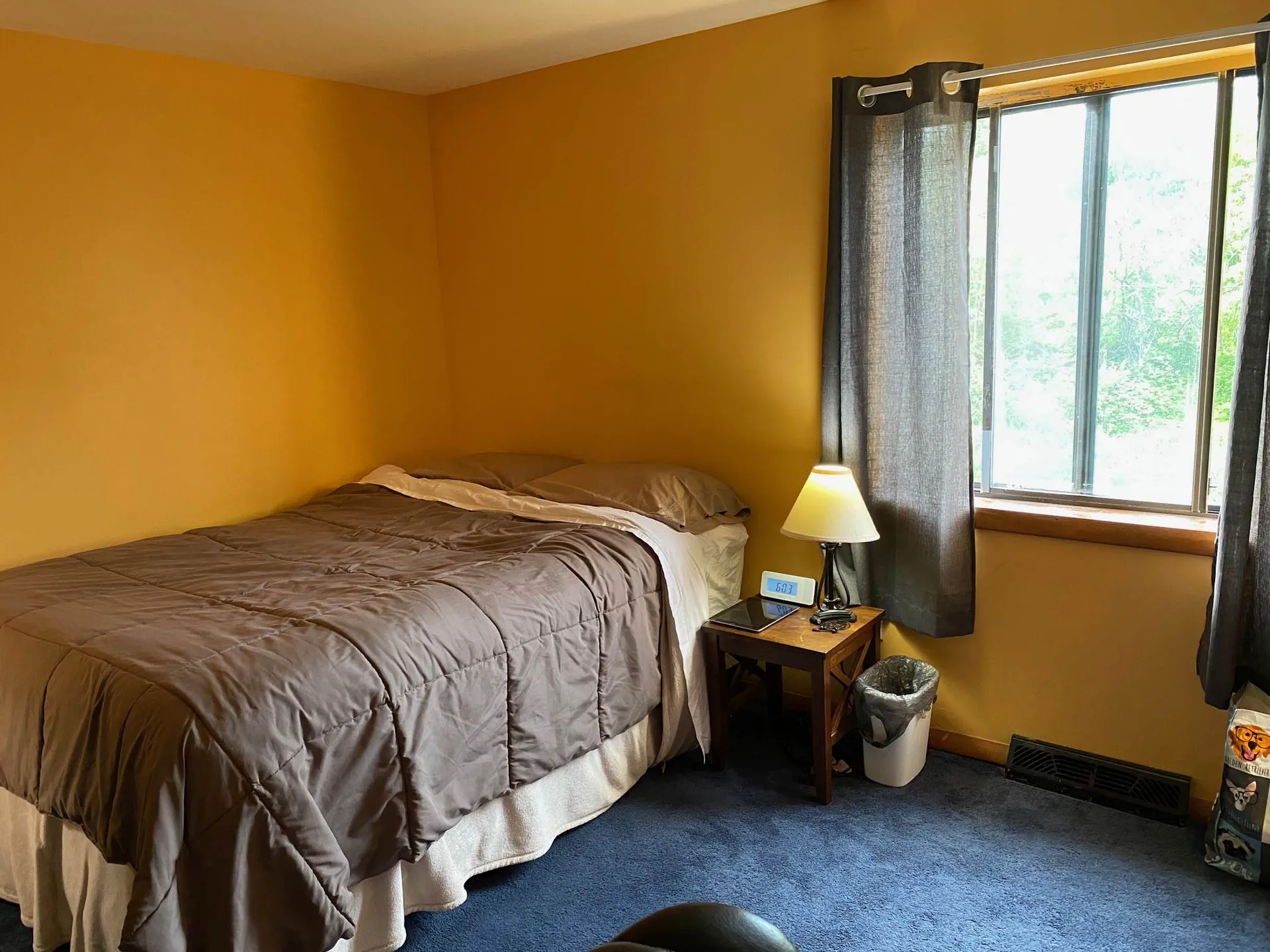18 Huntington Place Waterbury VT 05676