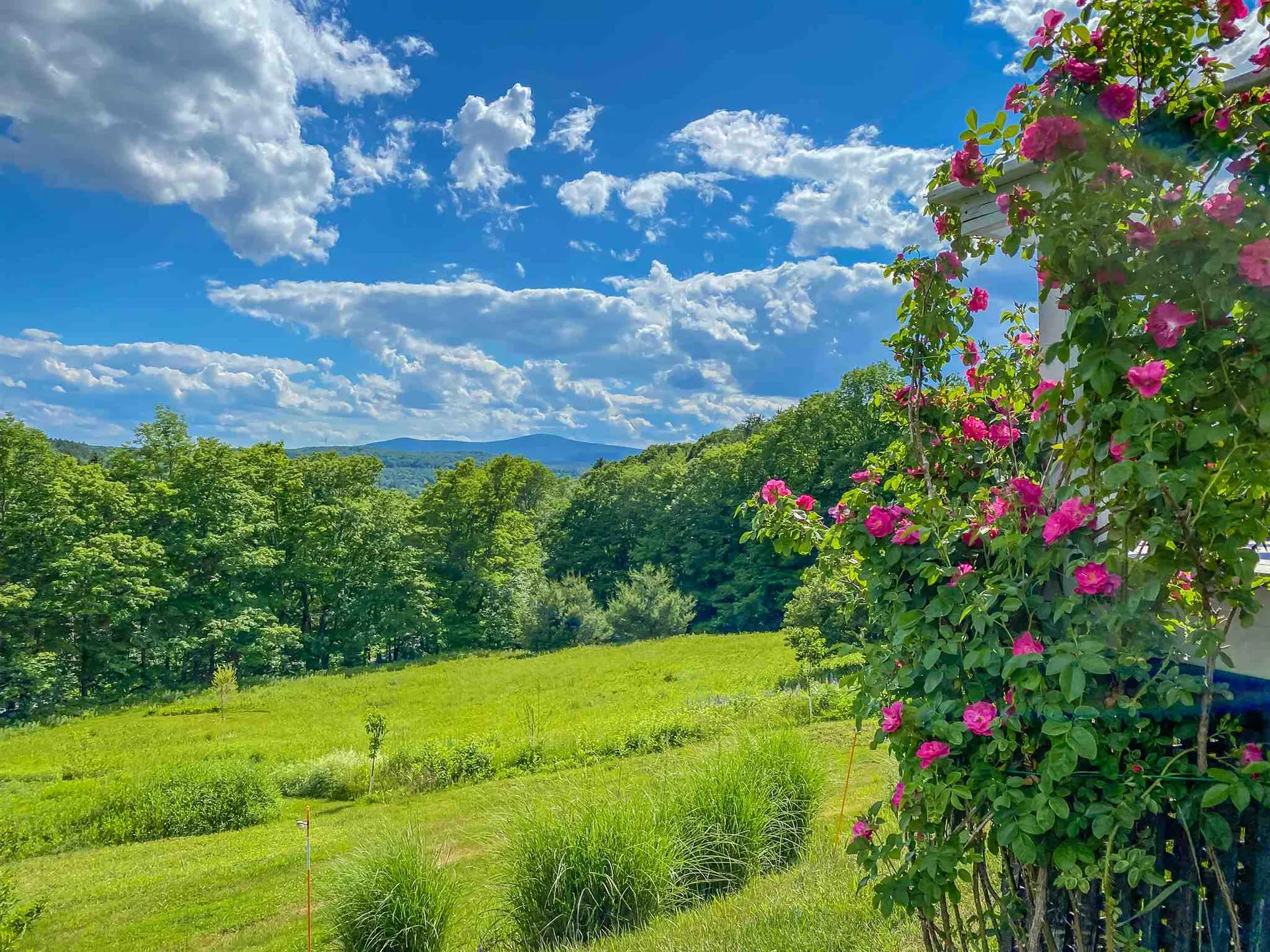 184 Stowe Hill Road Wilmington VT 05363