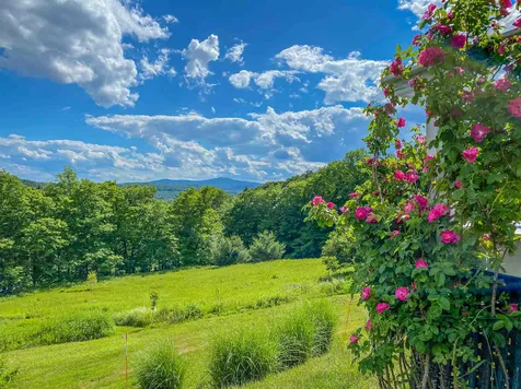 184 Stowe Hill Road Wilmington VT 05363