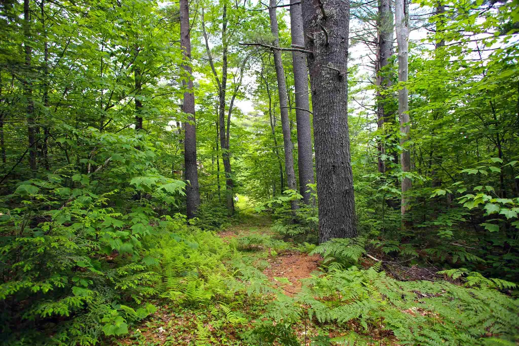 185 Sargent Hill Road Grafton NH 03240