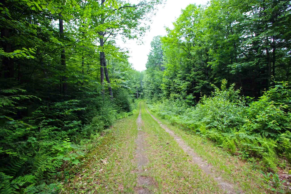 185 Sargent Hill Road Grafton NH 03240