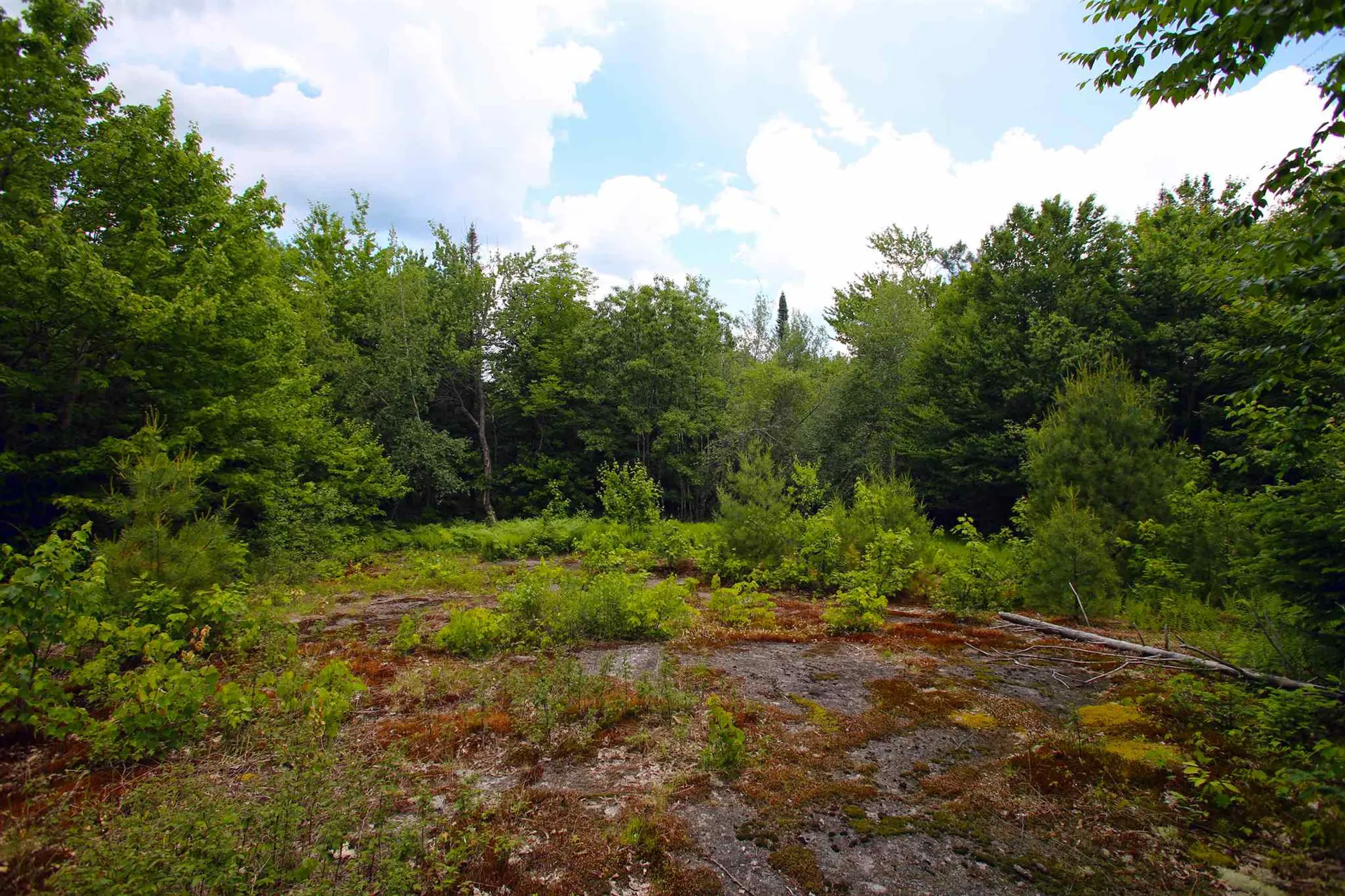 185 Sargent Hill Road Grafton NH 03240