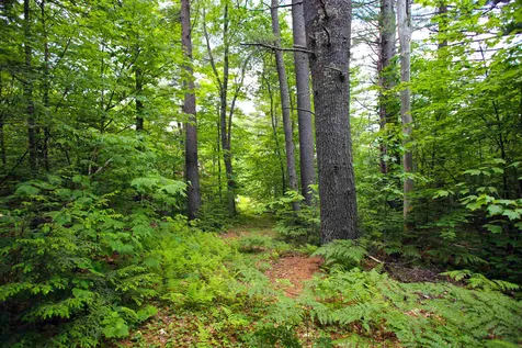 185 Sargent Hill Road Grafton NH 03240