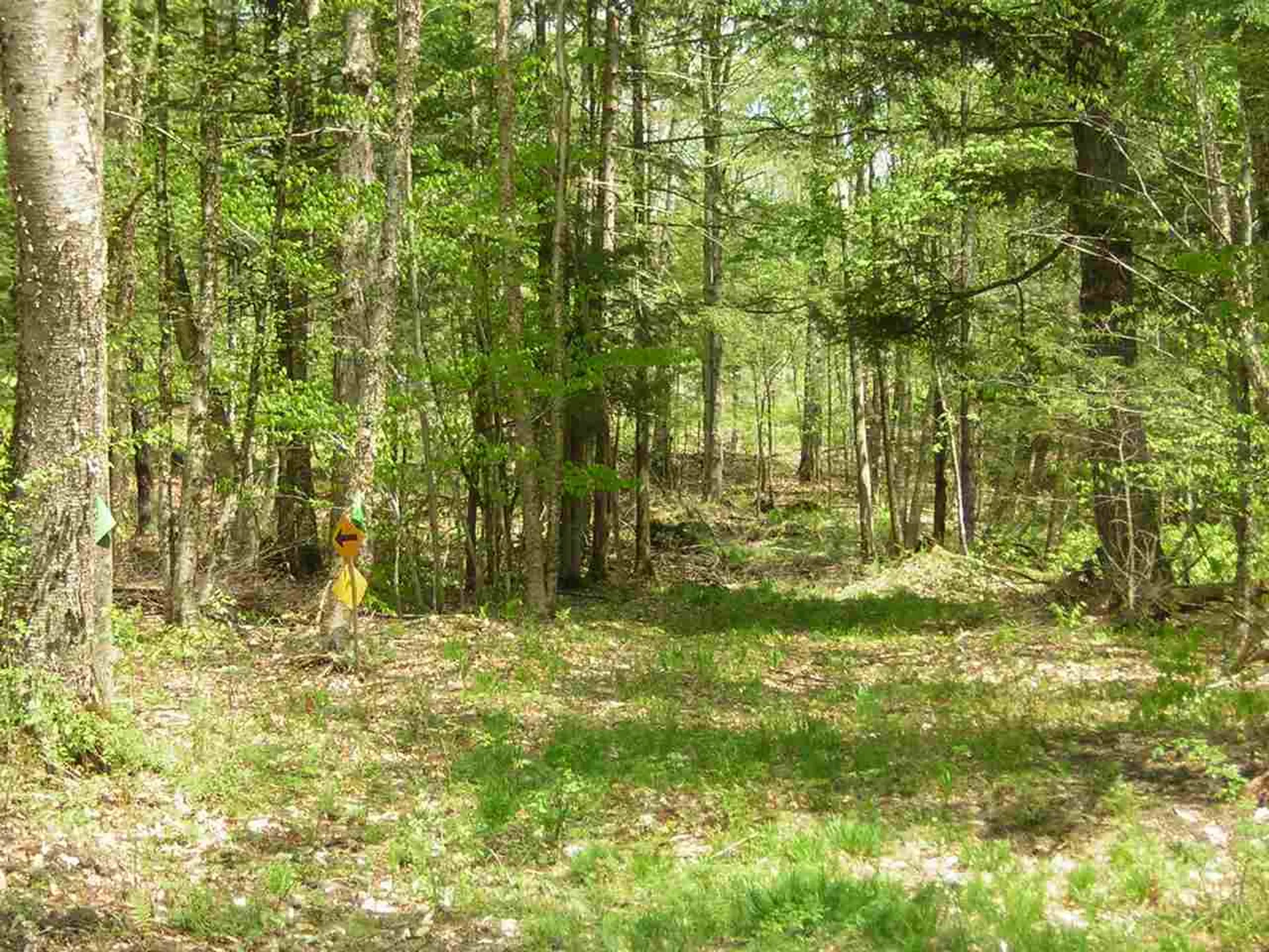 600 Maple Hill Road Johnson VT 05656