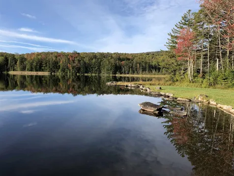784 Onion Point Road Peacham VT 05862
