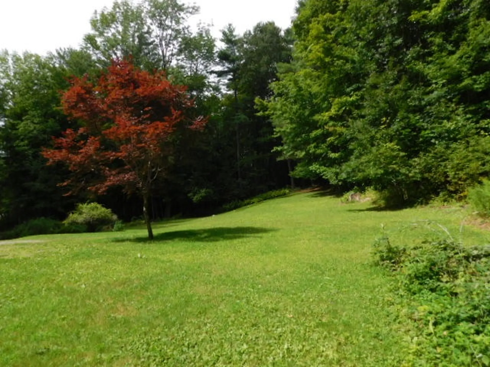 17 Oliver Road Marlborough NH 03455