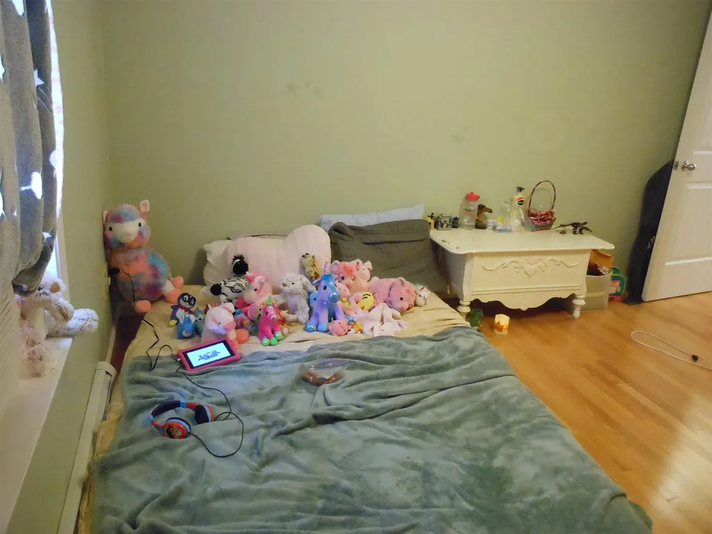 493 Silver Pine Lane Tamworth NH 03886