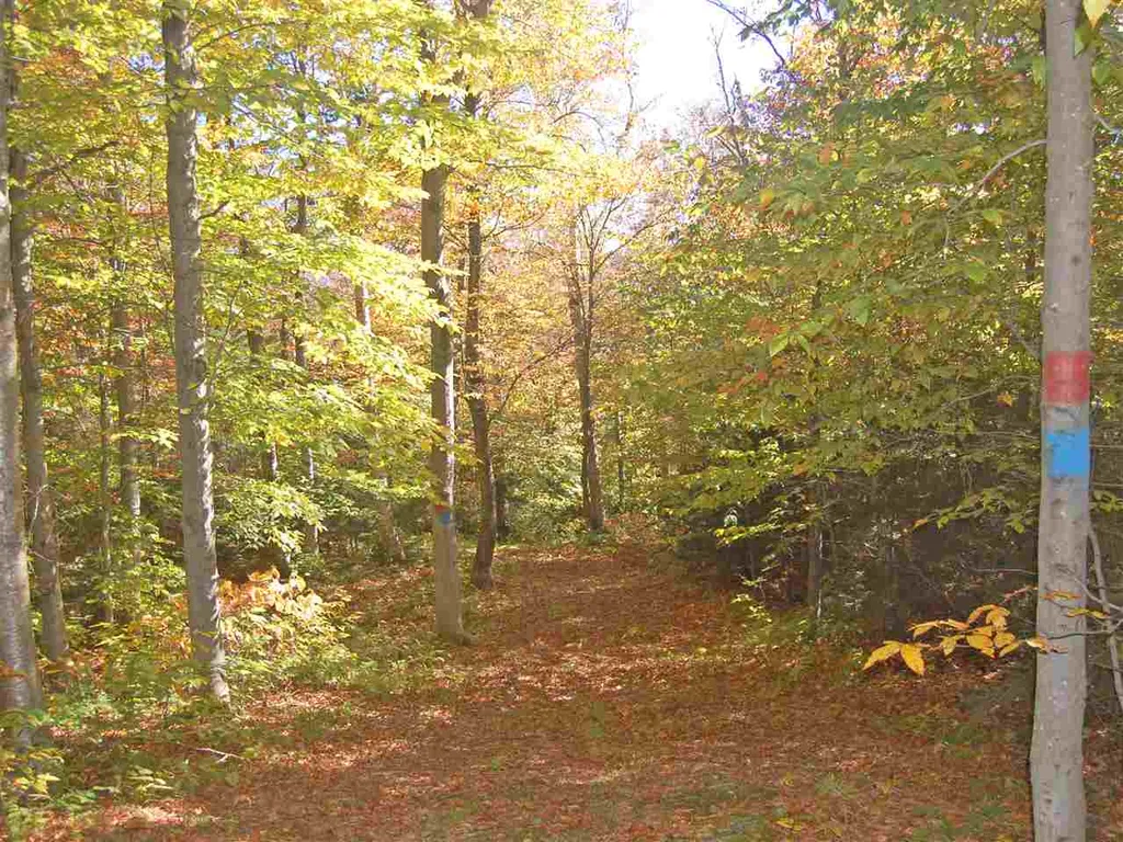 405 Lincoln Ridge Road Warren VT 05674