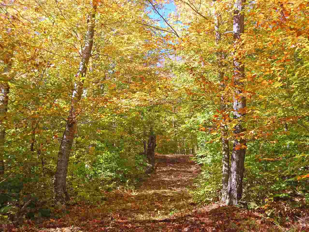 405 Lincoln Ridge Road Warren VT 05674