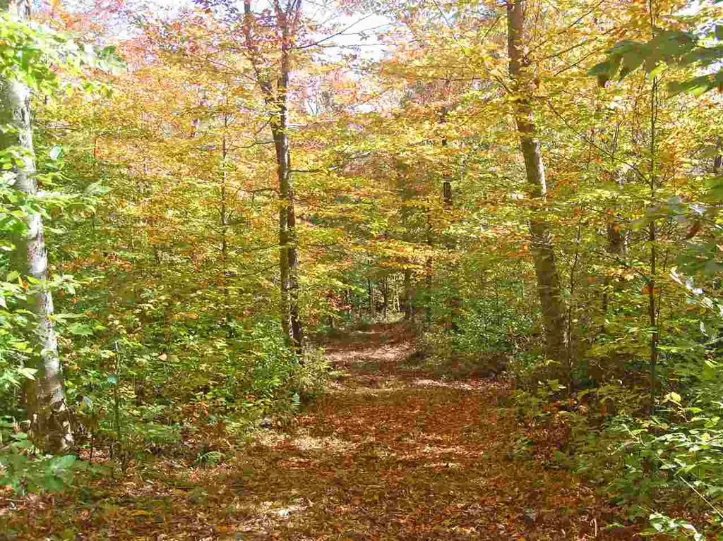 405 Lincoln Ridge Road Warren VT 05674