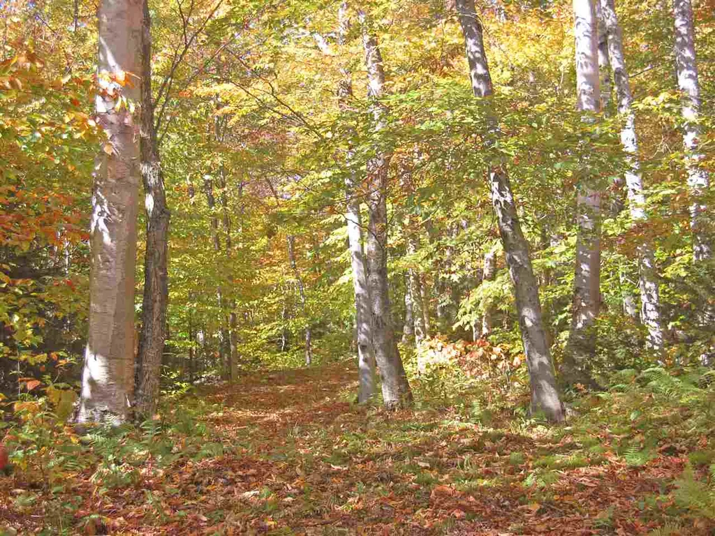 405 Lincoln Ridge Road Warren VT 05674