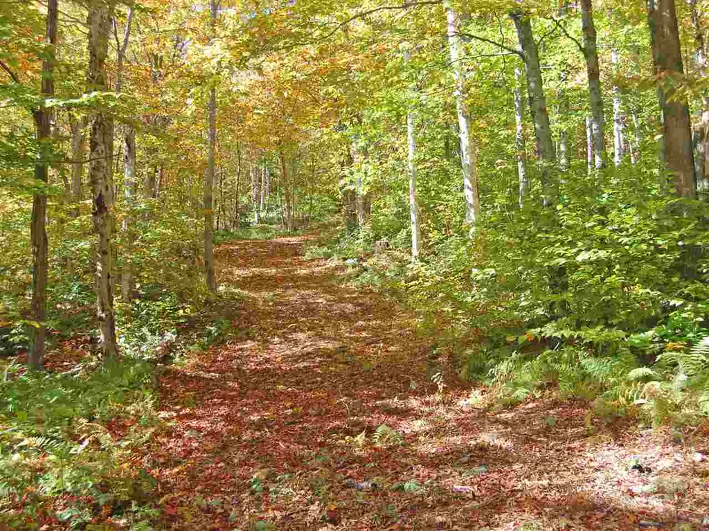 405 Lincoln Ridge Road Warren VT 05674