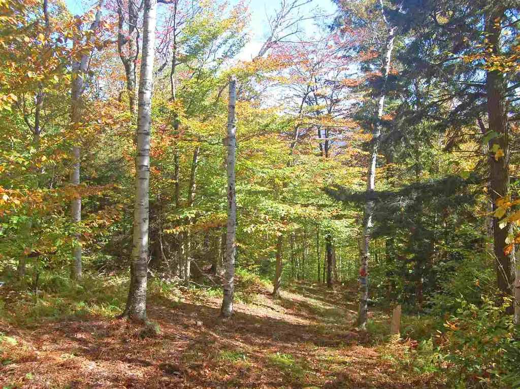 405 Lincoln Ridge Road Warren VT 05674