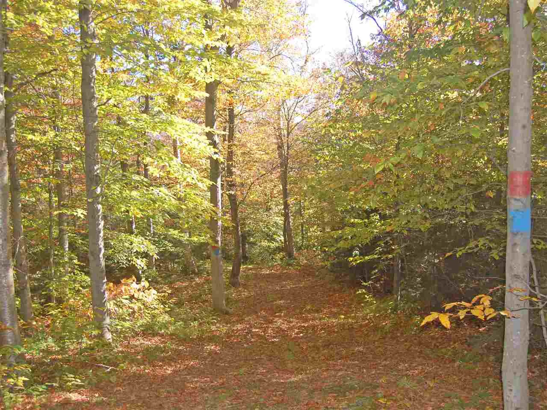 405 Lincoln Ridge Road Warren VT 05674