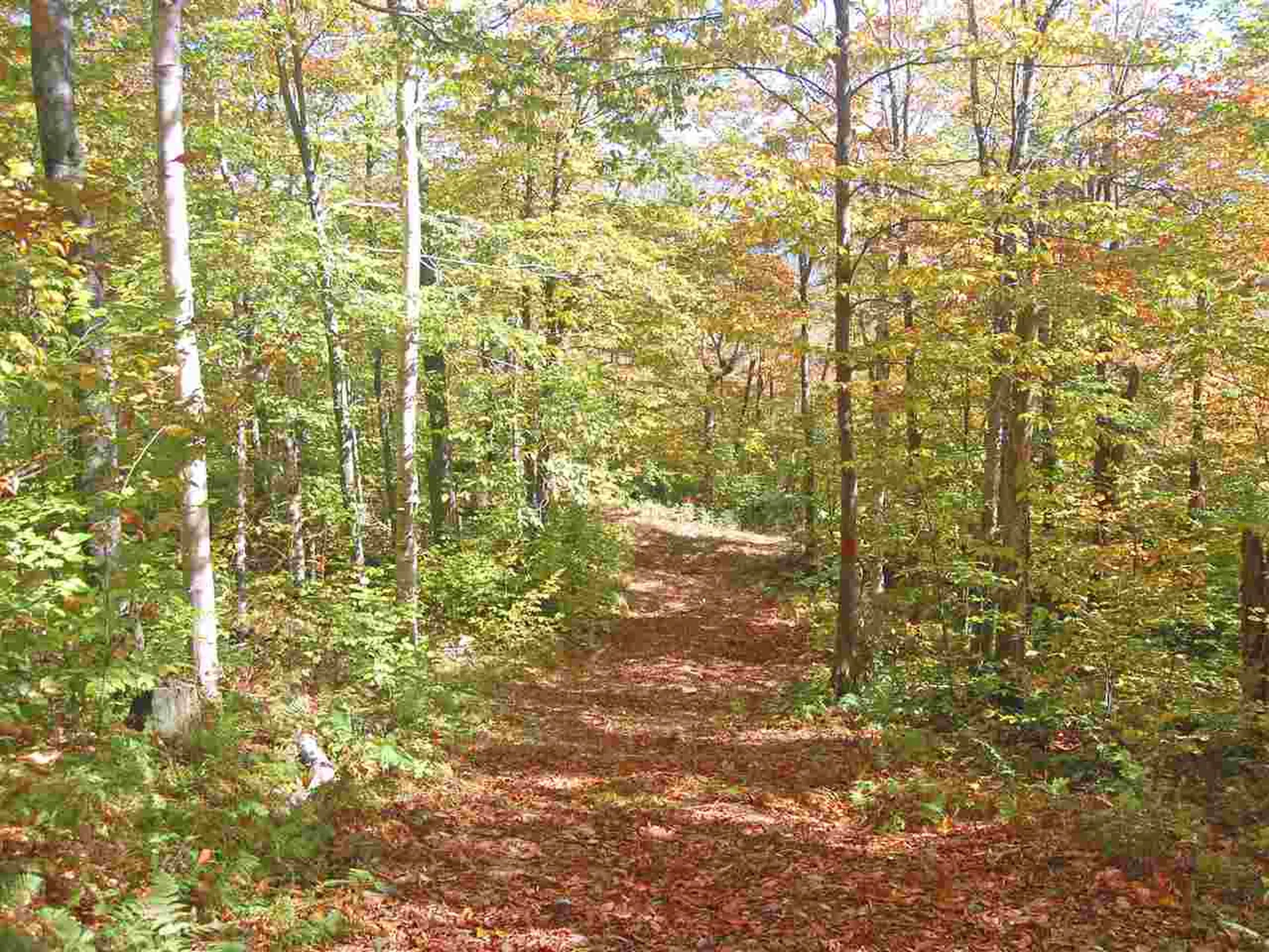 405 Lincoln Ridge Road Warren VT 05674
