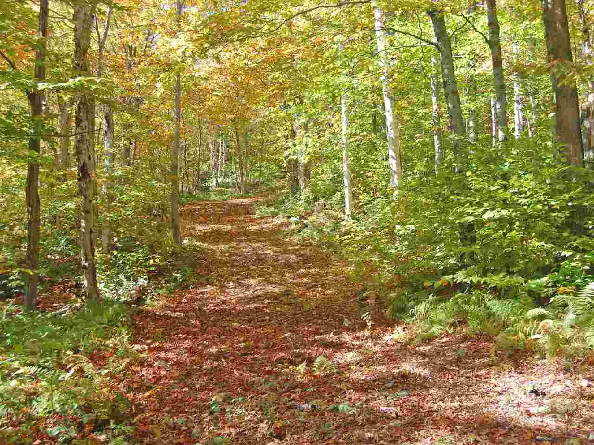 405 Lincoln Ridge Road Warren VT 05674