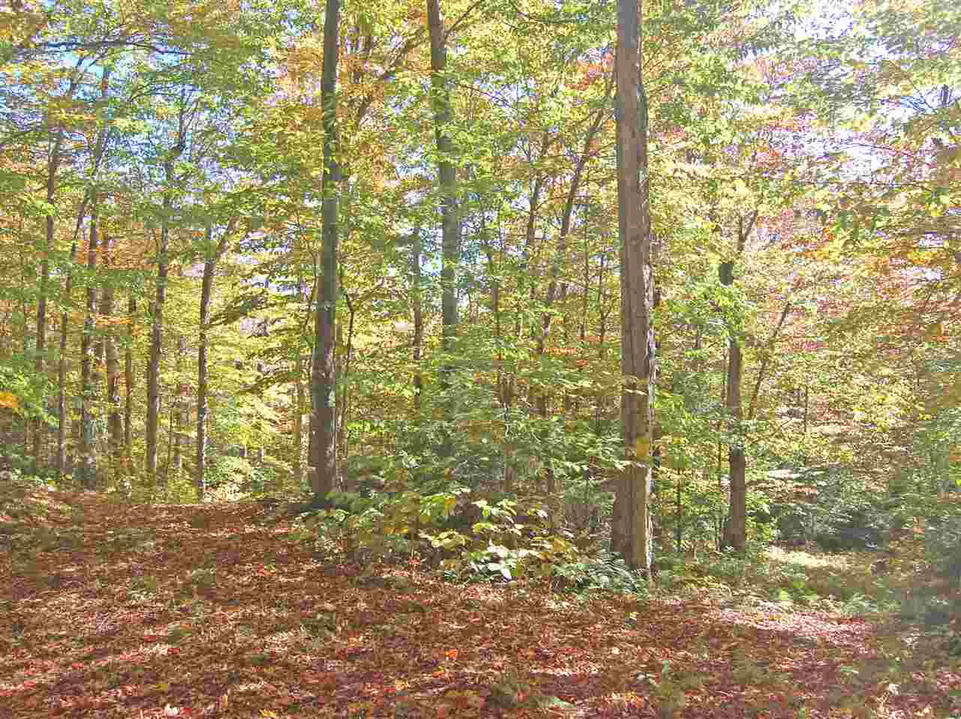 405 Lincoln Ridge Road Warren VT 05674
