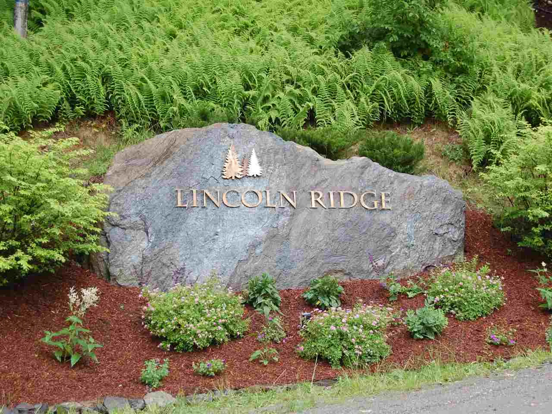 405 Lincoln Ridge Road Warren VT 05674