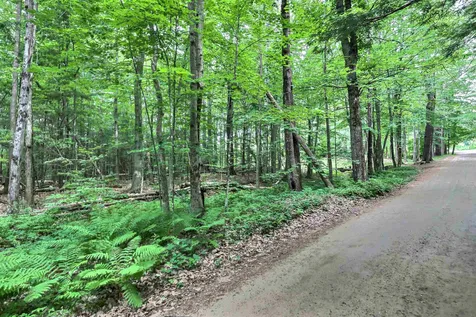 0 Camp Kemah And Blaisdell Farm Road Sutton NH 03273
