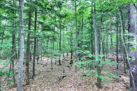 0 Camp Kemah And Blaisdell Farm Road Sutton NH 03273
