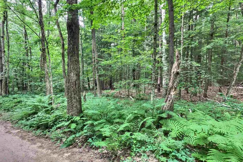 0 Camp Kemah And Blaisdell Farm Road Sutton NH 03273