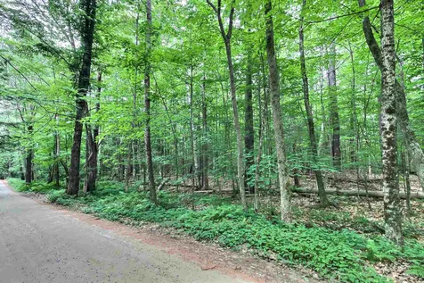 0 Camp Kemah And Blaisdell Farm Road Sutton NH 03273