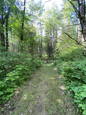 221 South Craftsbury Road Craftsbury VT 05826
