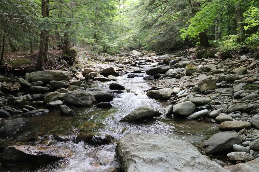 395 German Flats Road Fayston VT 05673
