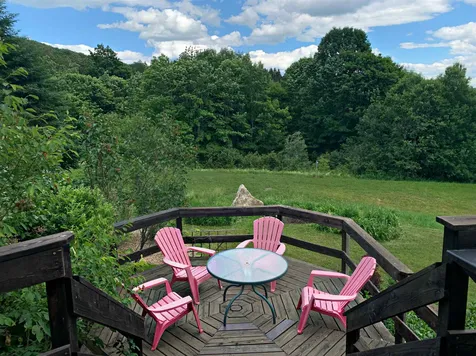 834 Thistle Hill Road Cabot VT 05647