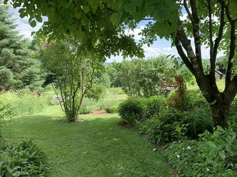 834 Thistle Hill Road Cabot VT 05647