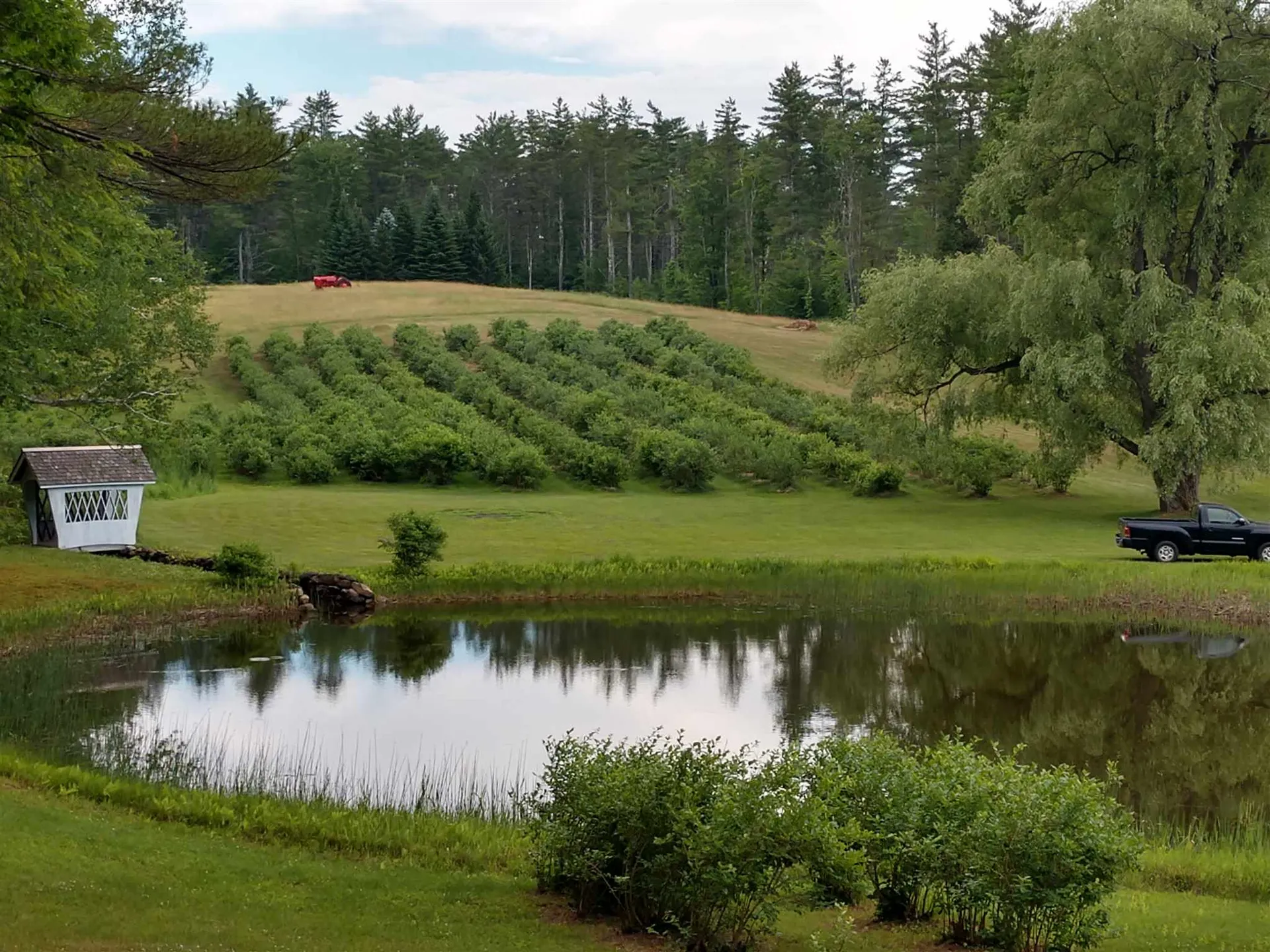79 Upper Bay Road Sanbornton NH 03269