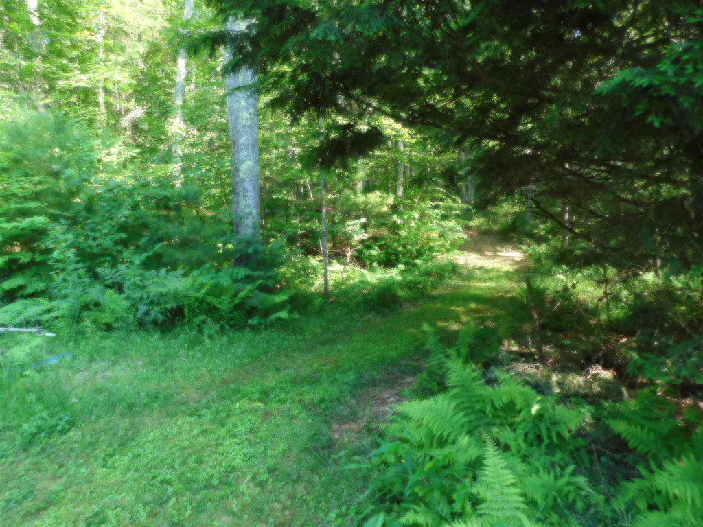 16 Willow Road Barrington NH 03825