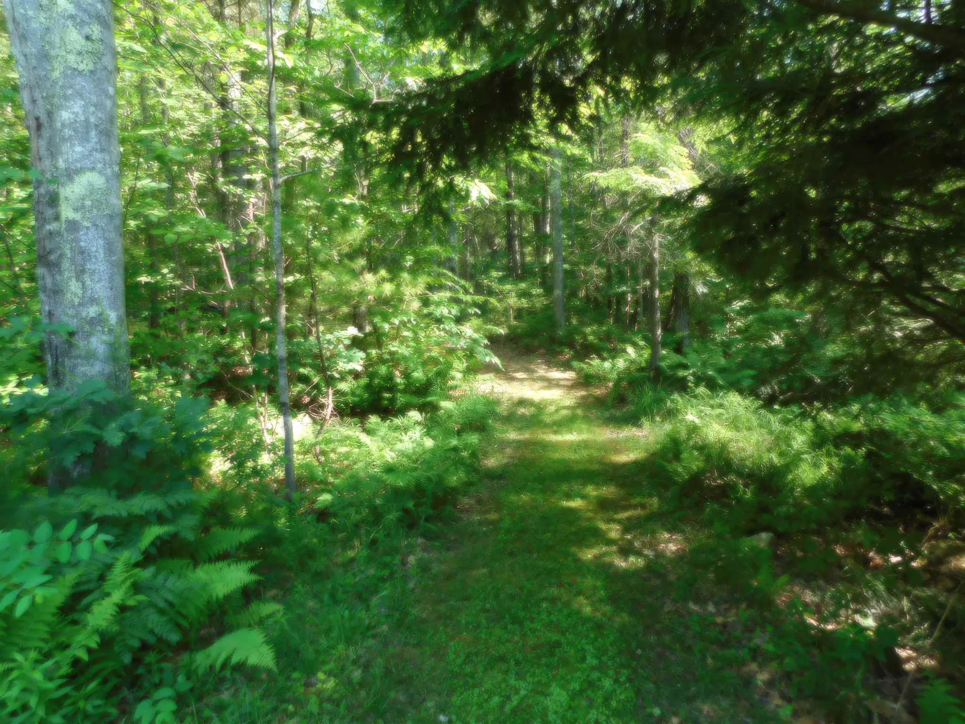 16 Willow Road Barrington NH 03825