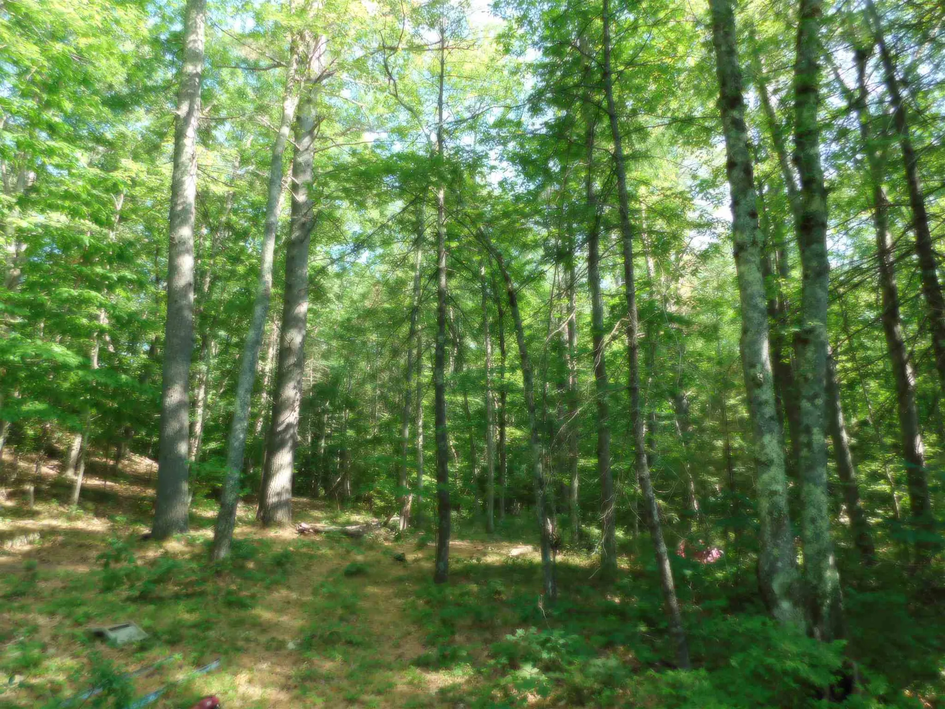 16 Willow Road Barrington NH 03825