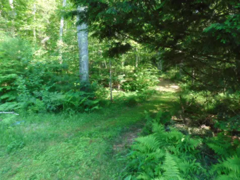 16 Willow Road Barrington NH 03825