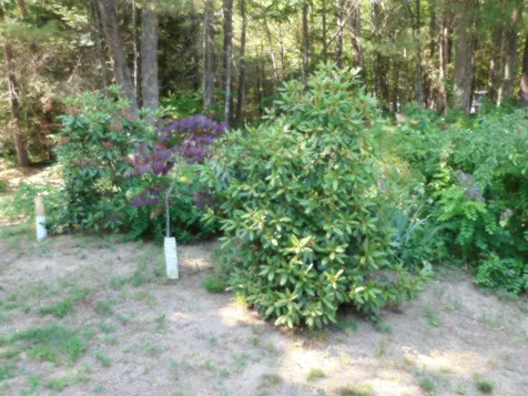 16 Willow Road Barrington NH 03825