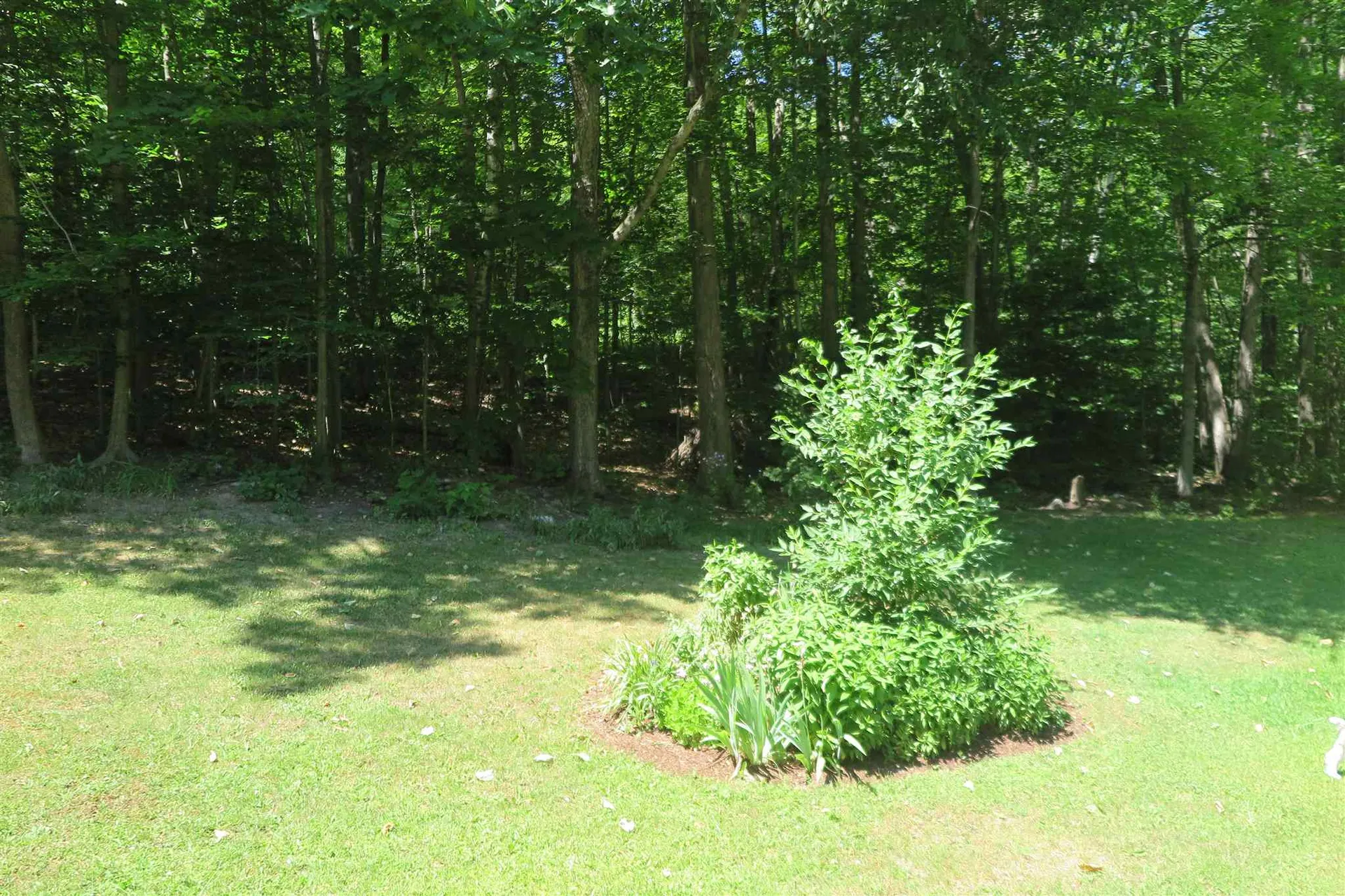 2190 Hardscrabble Road Bristol VT 05443