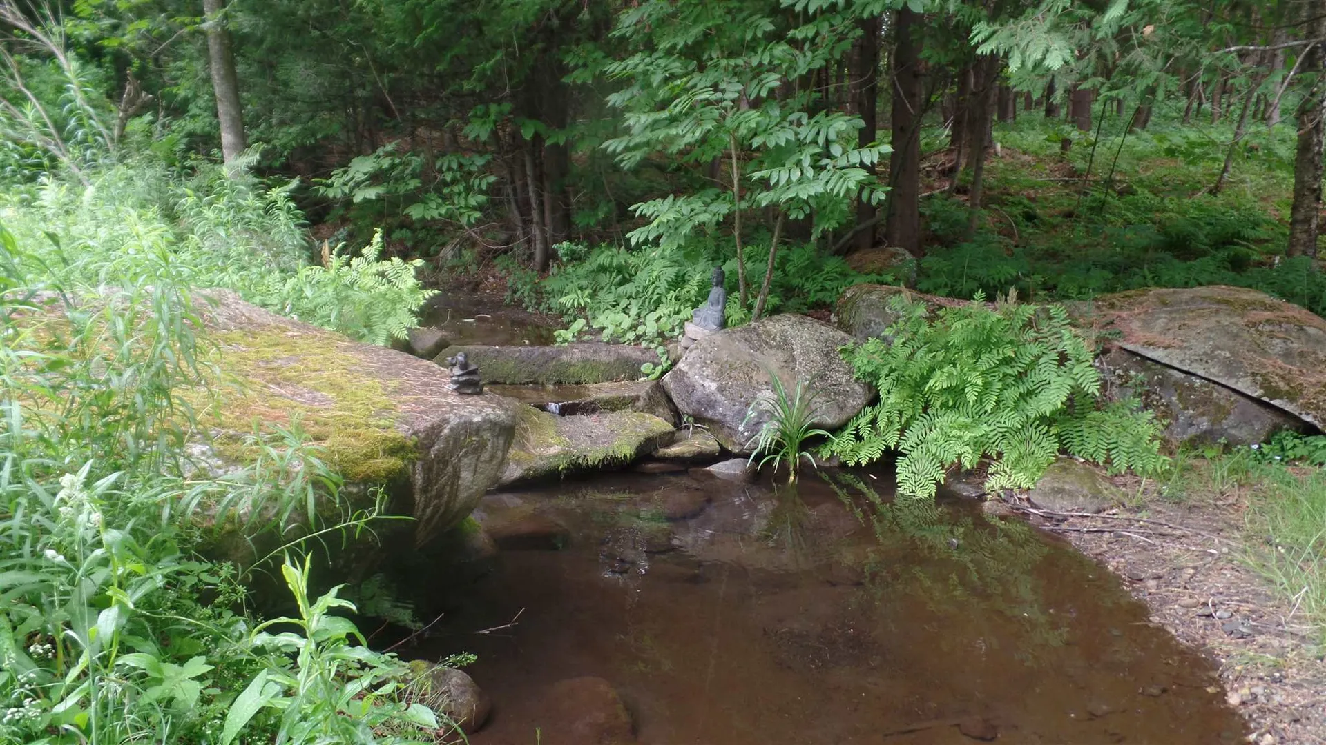 3809 East Hill Road Plainfield VT 05667