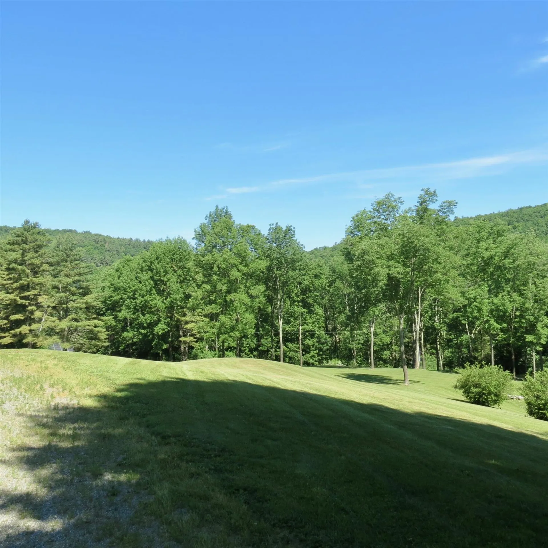 165 Pattern Lane Pawlet VT 05761