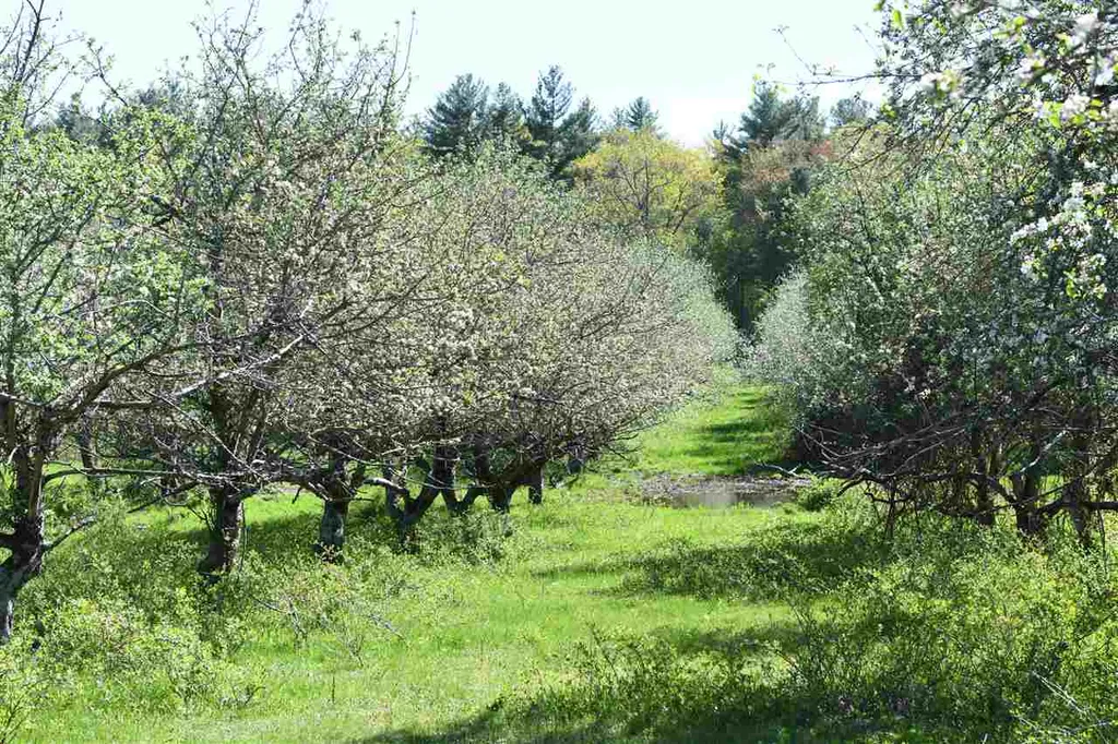184 Federal Hill Road Hollis NH 03049