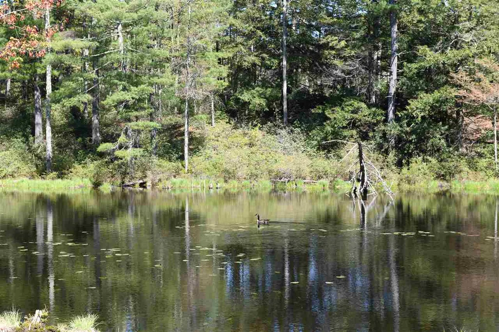184 Federal Hill Road Hollis NH 03049